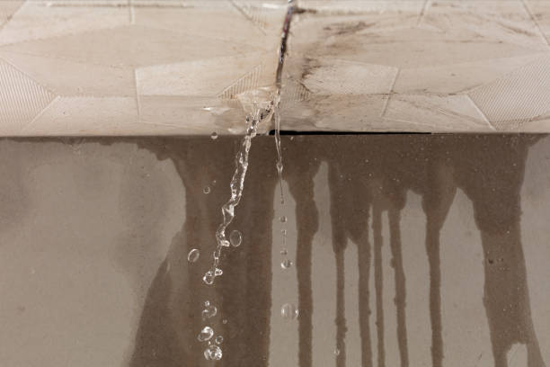 Professional Sewage Cleanup technician working in Earling, IA